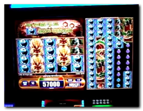 11 Free spins casino at Rizk Casino