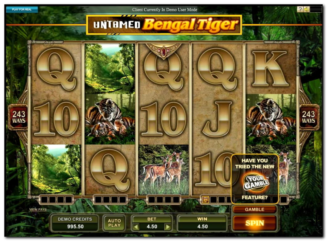 €66 casino chip at Omni Slots Casino