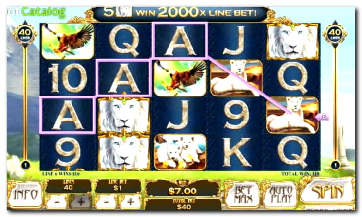 230% Welcome Bonus at Sloty Casino