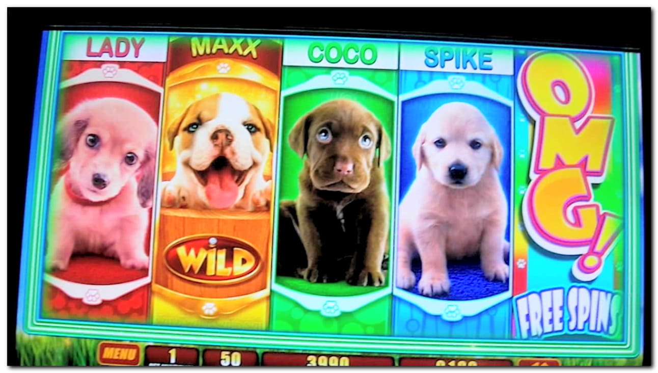 500% Deposit Match Bonus at Kaboo Casino