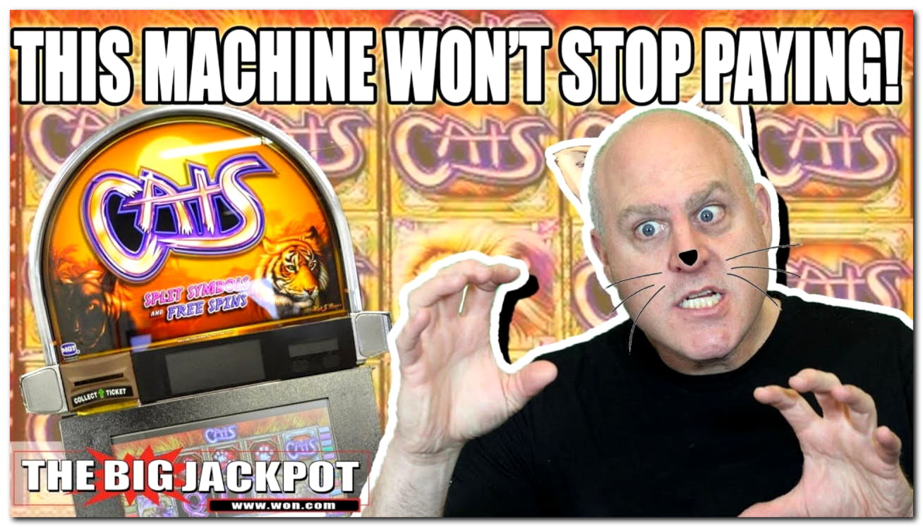 €3600 No Deposit Bonus Casino at Red Ping Win Casino