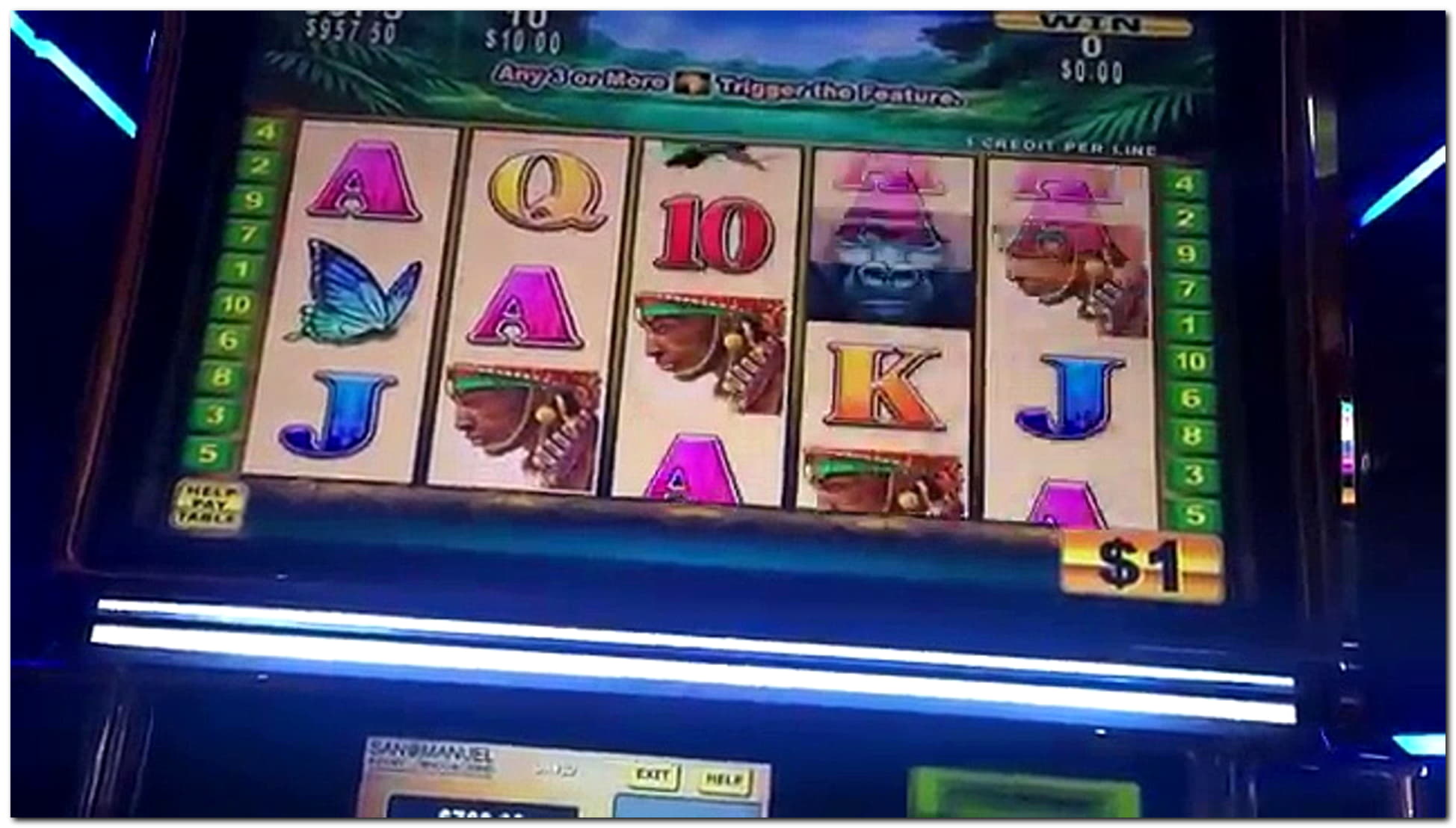 100 Loyal Free Spins! at Sloty Casino