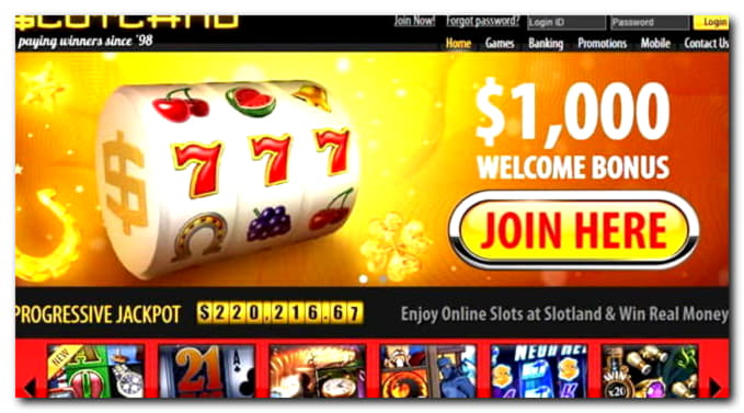 210 Free Spins right now at Dream Dubai Casino