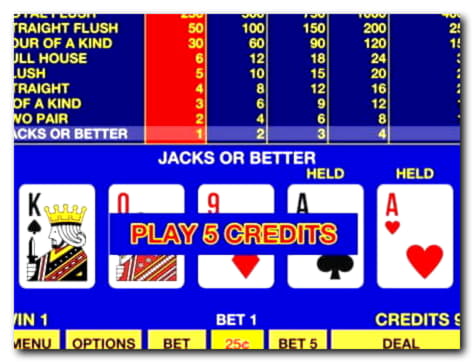 €445 Mobile freeroll slot tournament at Leo Dubai Casino