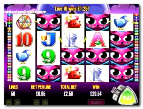 205 Free Spins no deposit at Casino com