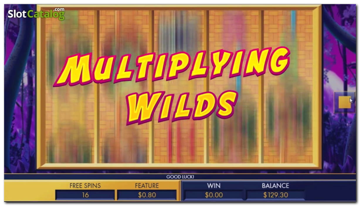 175 FREE Spins at Dream Dubai Casino