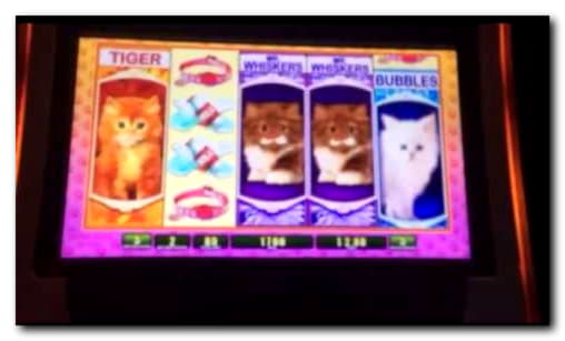 95 Free spins no deposit casino at Cherry Casino