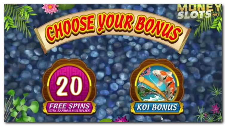 111 Loyal Free Spins! at Rizk Casino