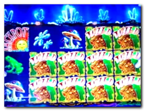 455% Deposit Match Bonus at BGO Casino