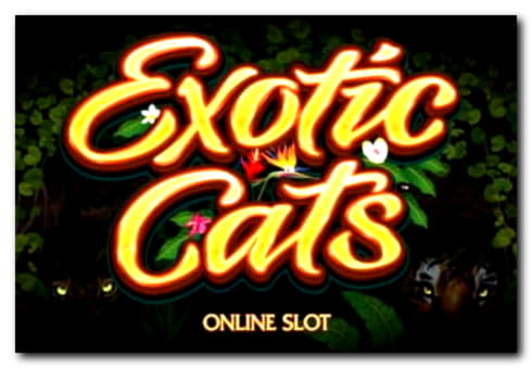 285 FREE Spins at Casino com