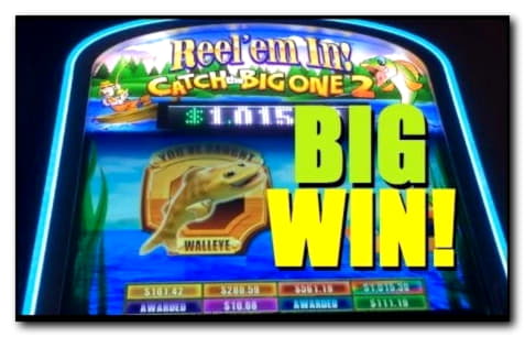 100 Free spins at Rizk Casino
