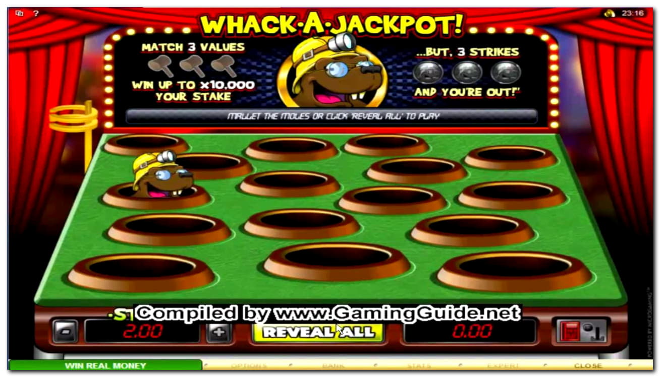 245 free spins casino at Leo Dubai Casino