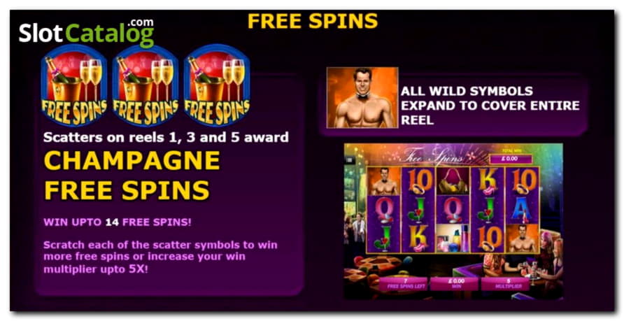 720% Match at a Casino at Wild Slots Casino
