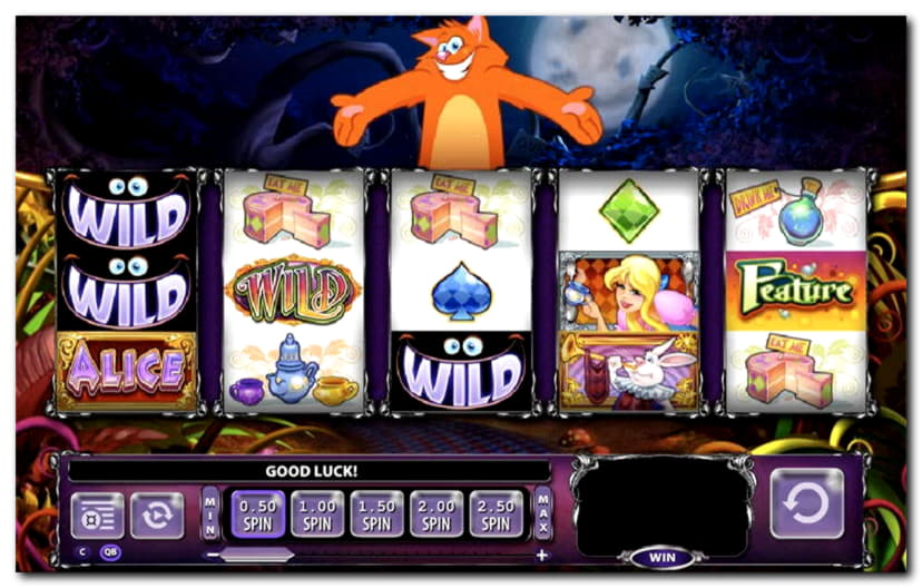 510% No Rules Bonus! at Kaboo Casino
