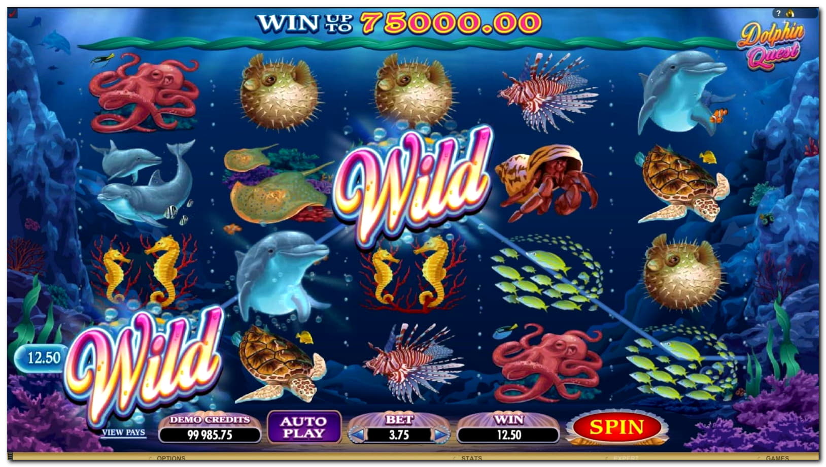205 free spins at Slots Billion Casino