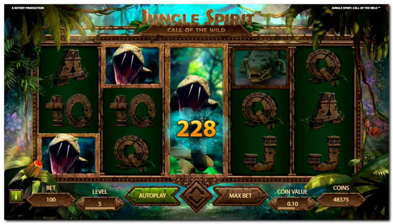 305% Signup casino bonus at Kaboo Casino