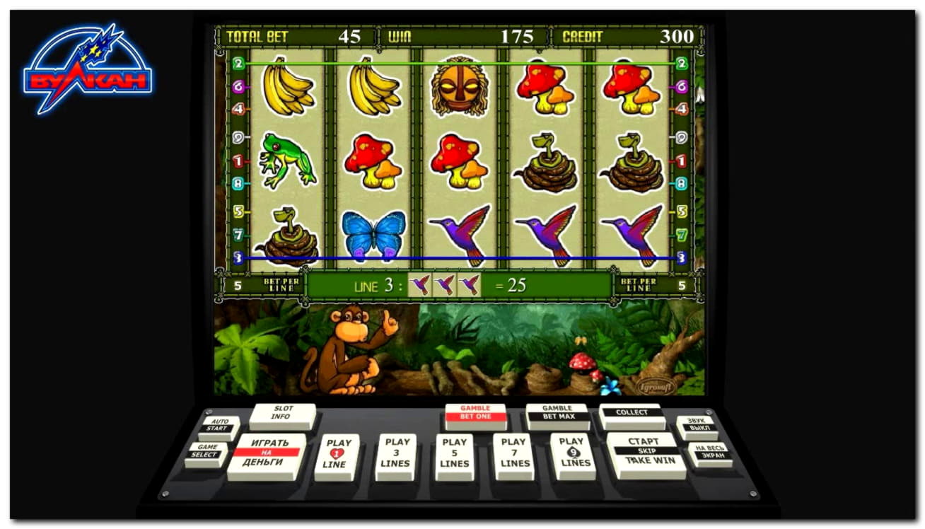 €4255 no deposit bonus at Rizk Casino