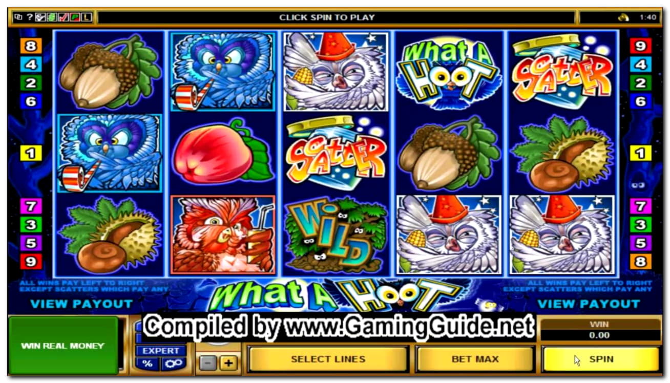 740% First deposit bonus at Sloty Casino
