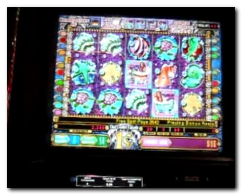EUR 370 Daily freeroll slot tournament at Casino com