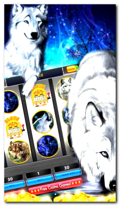 EURO 55 Free Chip at Wild Slots Casino