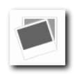 $530 casino chip at bWin Casino
