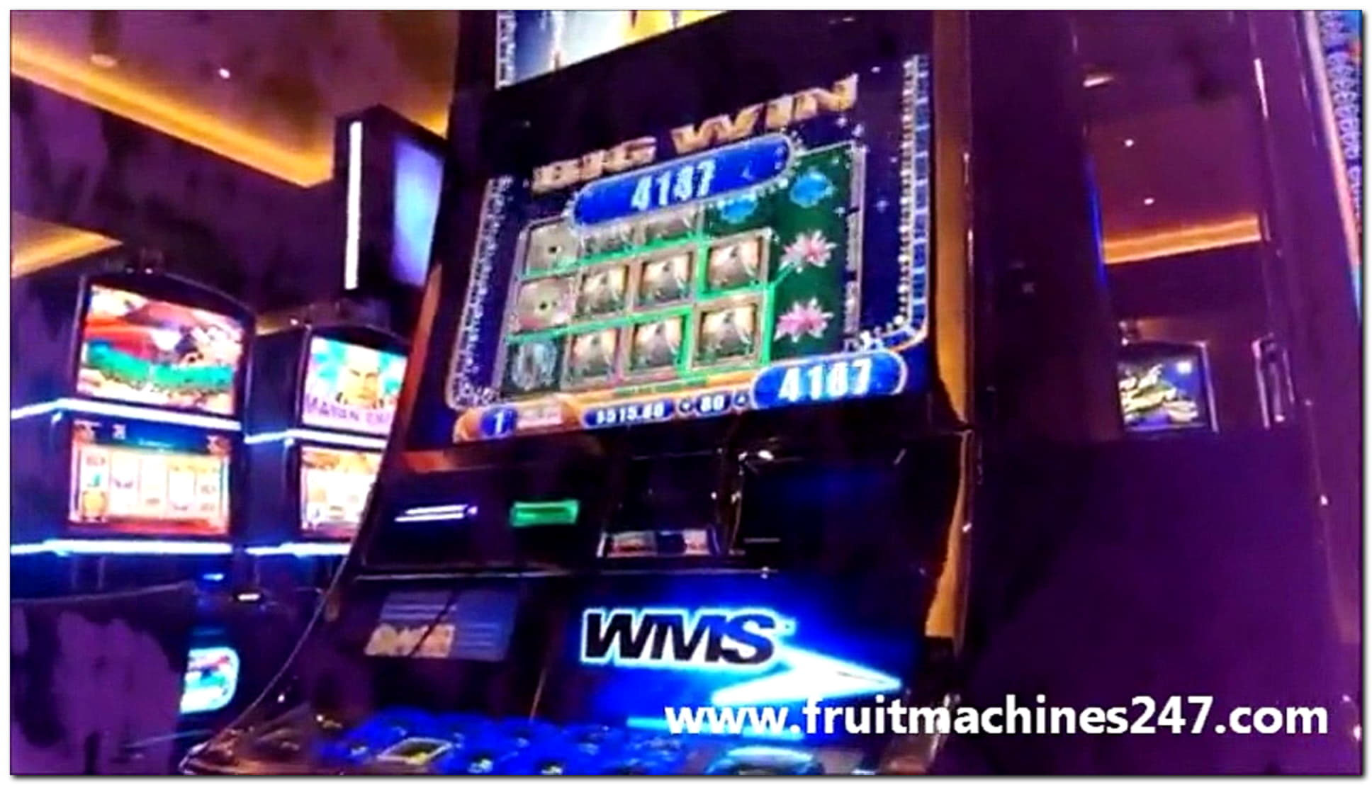 165 Free spins no deposit at Guts Casino
