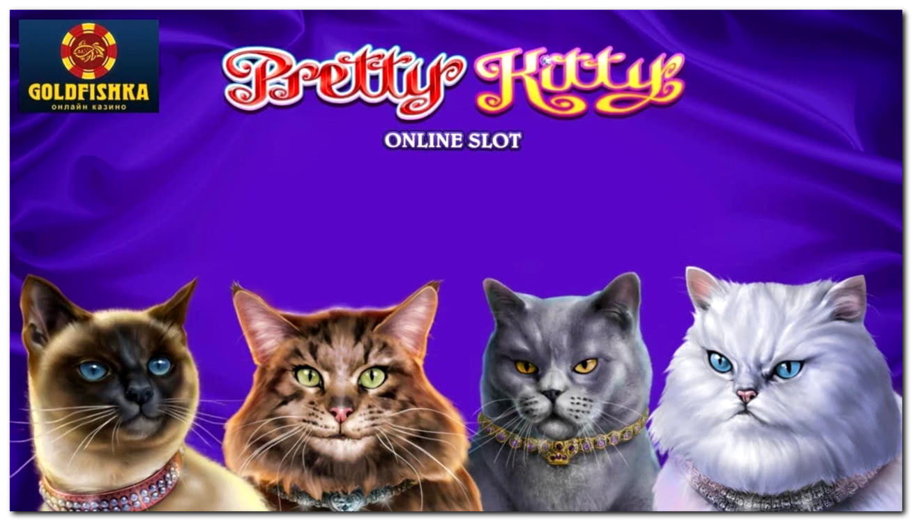 €385 Casino tournaments freeroll at Guts Casino