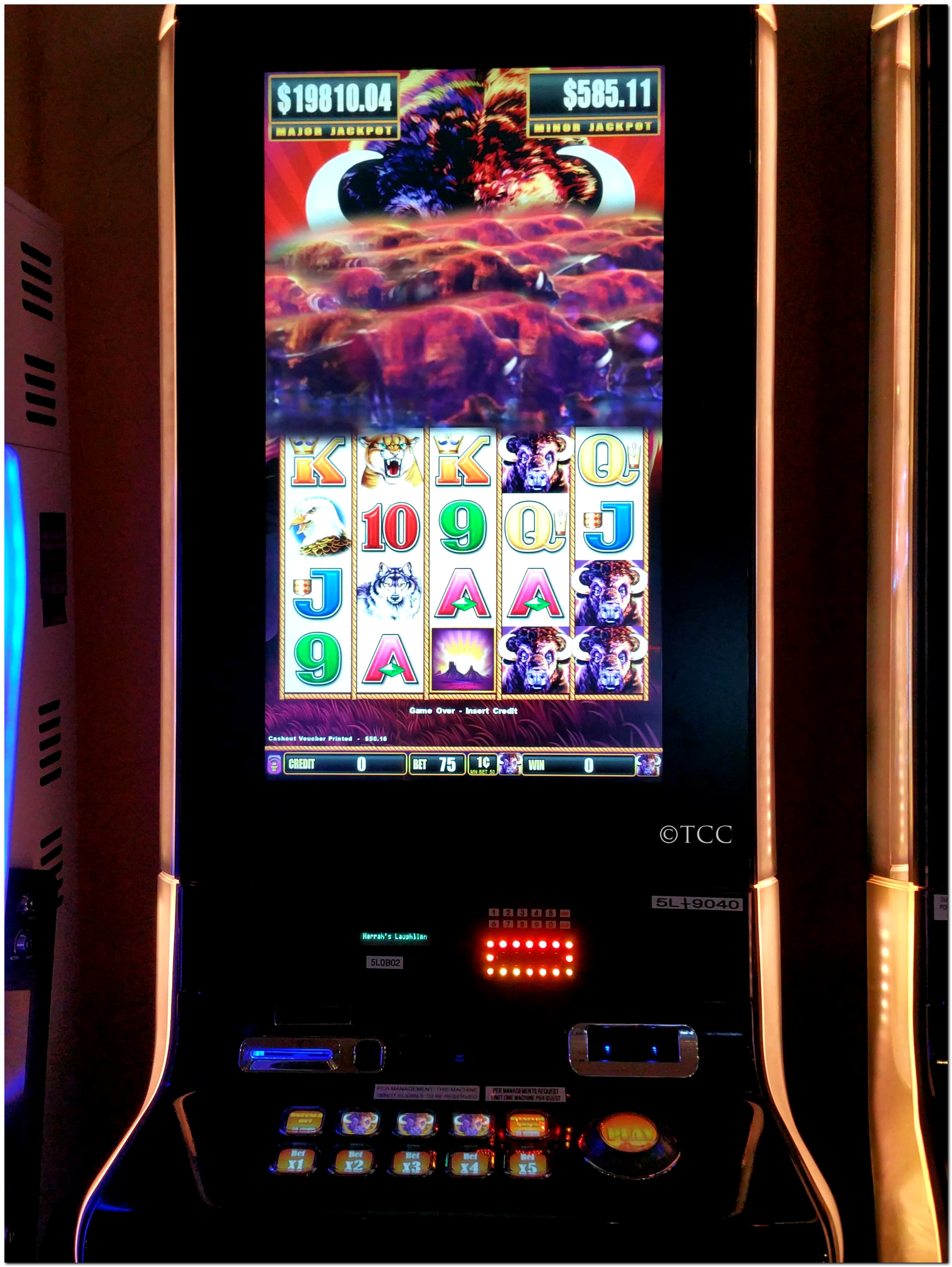 €655 Free Cash at Dunder Casino
