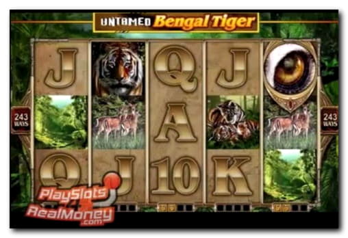 240% First Deposit Bonus at Next Casino