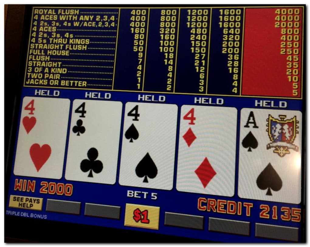 €315 Casino tournaments freeroll at bWin Casino