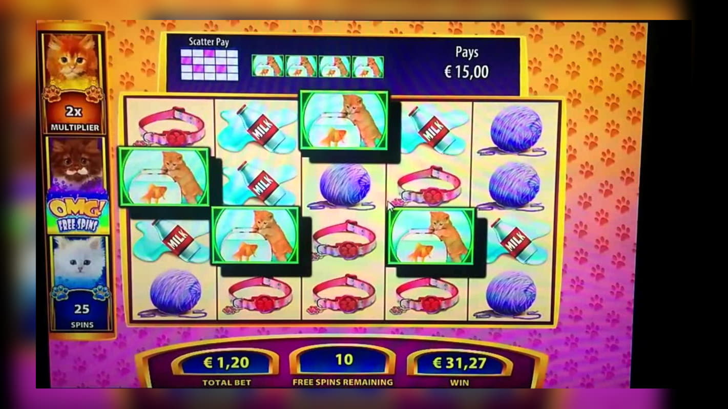 EUR 505 Free Casino Chip at Frank and Fred Casino