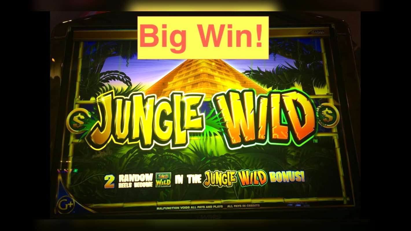 Eur 535 NO DEPOSIT BONUS CODE at Wild Slots Casino
