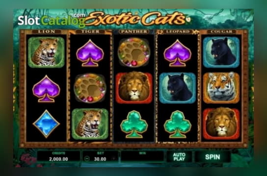 185% Best Signup Bonus Casino at bWin Casino
