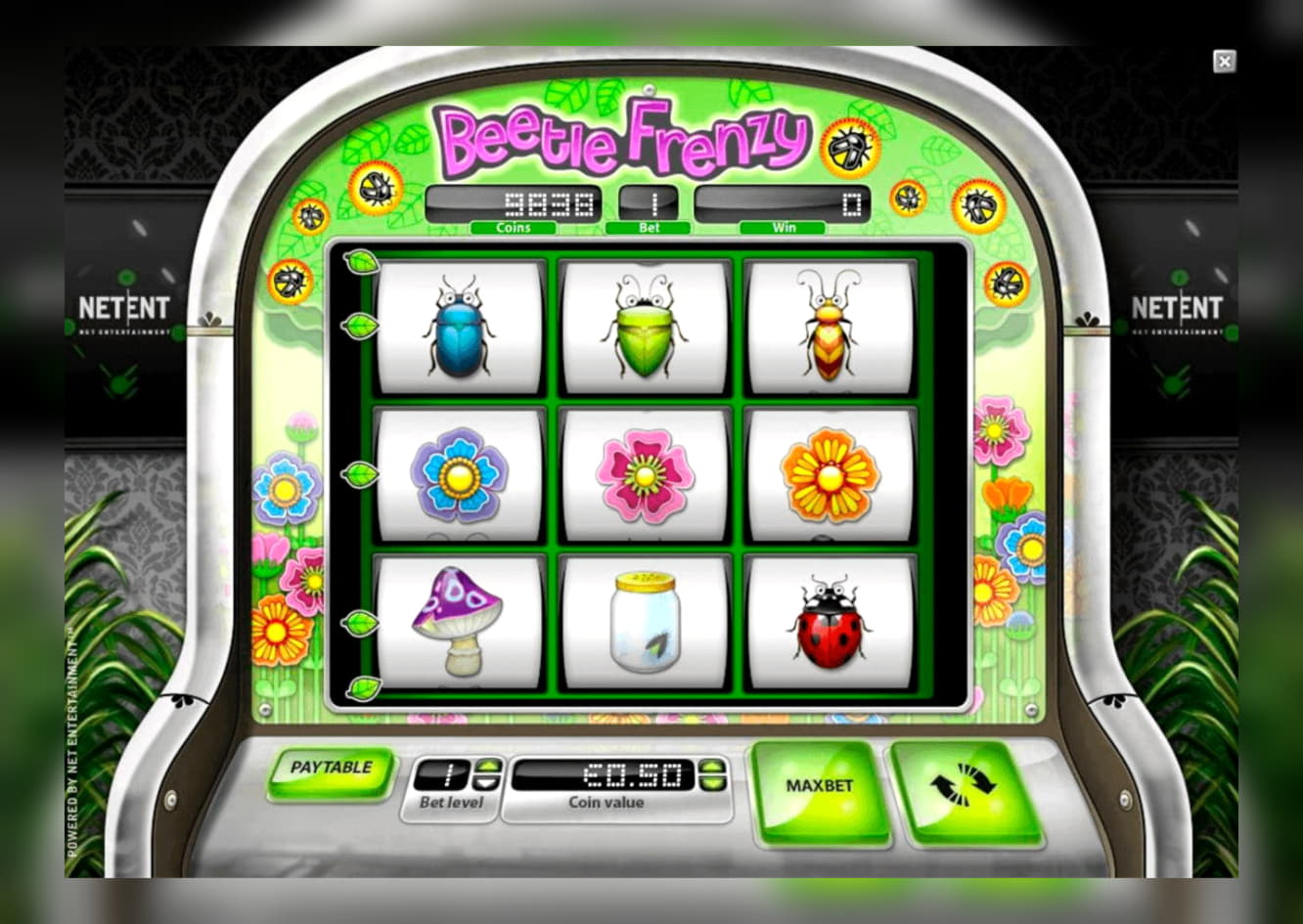 130% No Rules Bonus! at Party Casino