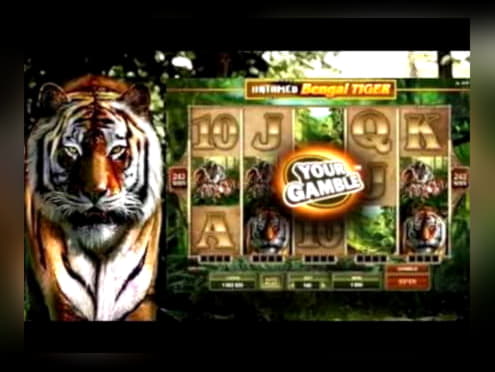 22 Free Spins no deposit at Kaboo Casino