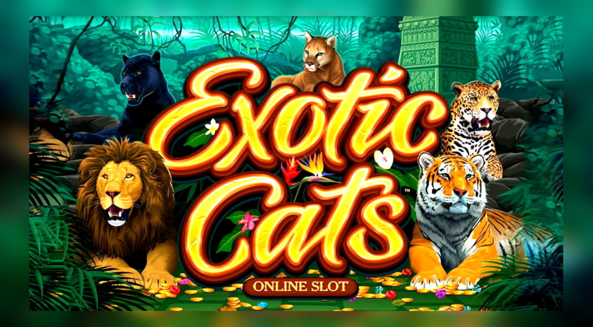 €590 FREE CHIP at Slots Million Casino
