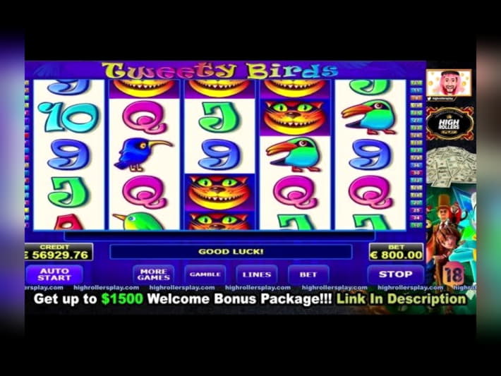 265% No Rules Bonus! at BGO Casino