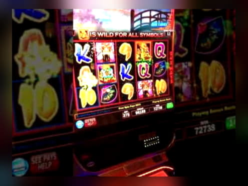 880% First deposit bonus at Sloty Casino