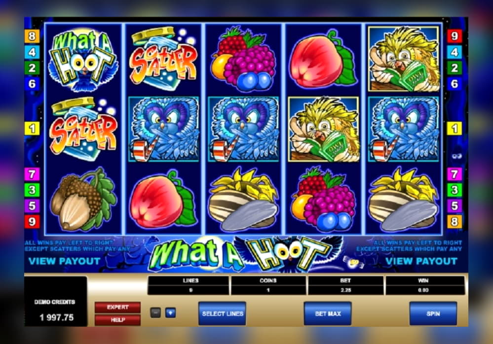 $3345 NO DEPOSIT BONUS CODE at Nordi Casino