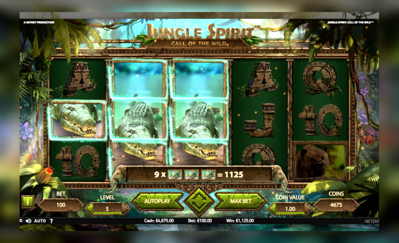 495% No Rules Bonus! at Wild Slots Casino