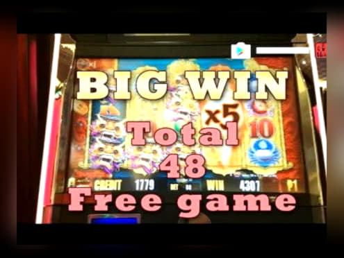 155 Free Spins right now at Sloty Casino