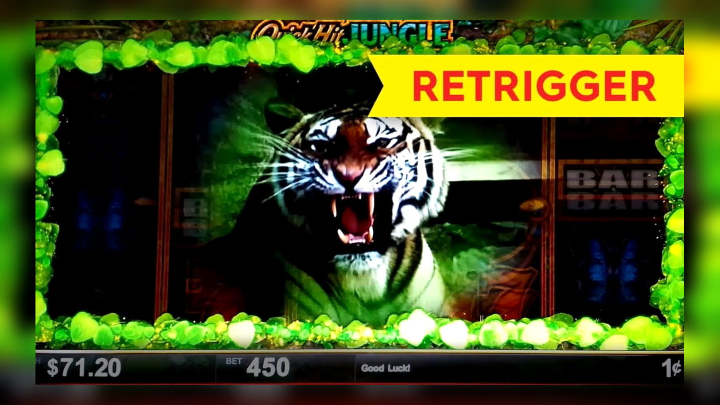 230 FREE SPINS at Dunder Casino
