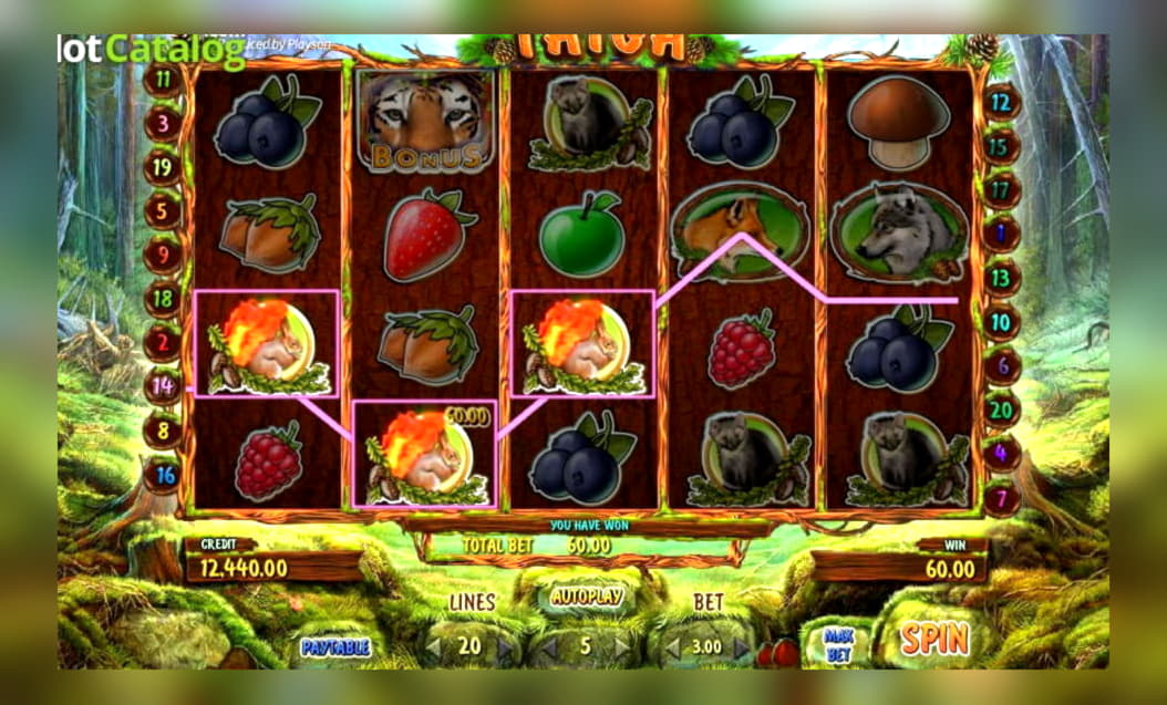 EUR 2645 NO DEPOSIT at Omni Slots Casino