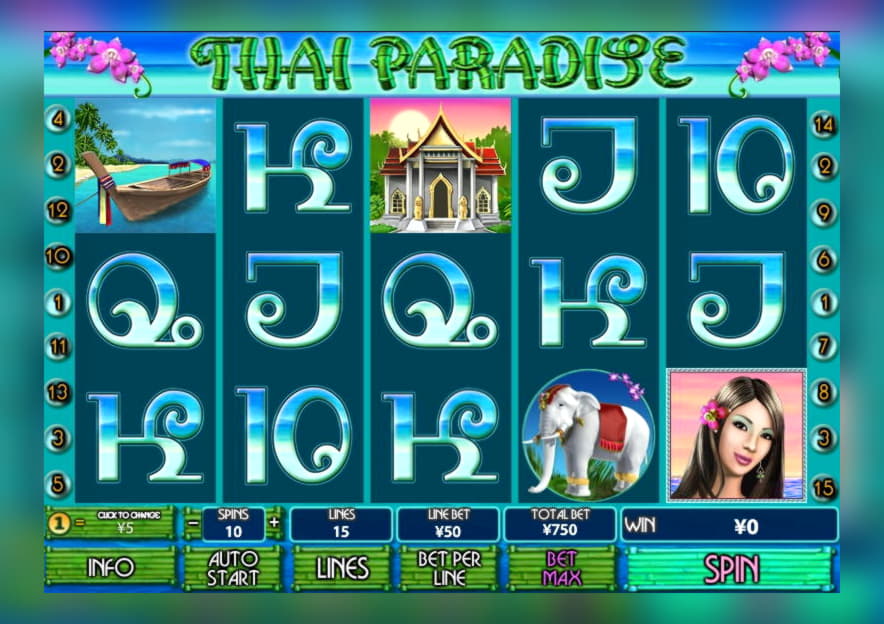€355 Casino chip at Video Slots Casino