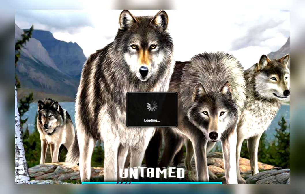 185 free casino spins at Rizk Casino