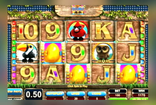 €2550 No deposit bonus casino at Next Casino