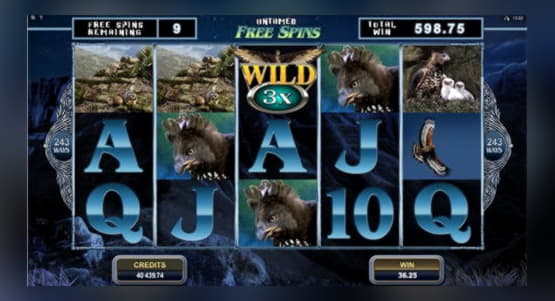 55 free spins no deposit casino at Rizk Casino