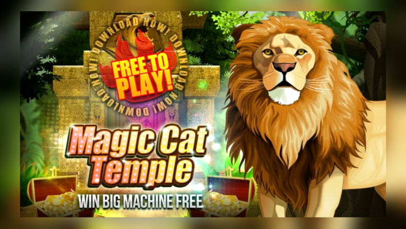 205% Match bonus casino at Rizk Casino