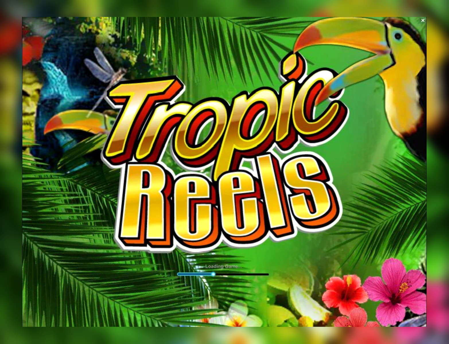 805% Deposit match bonus at Nordi Casino