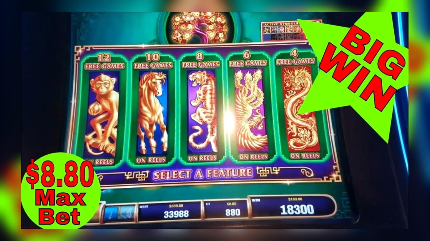 EURO 55 Casino tournaments freeroll at Casino com